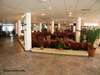 Rila Hotel 